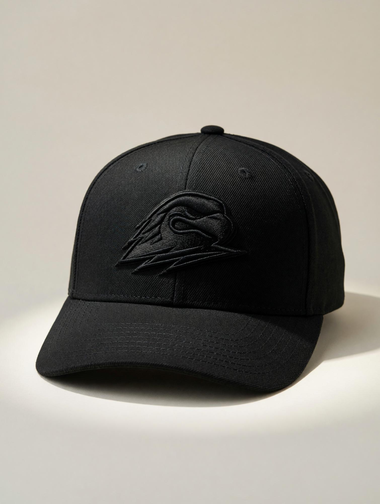 Product image 1 of 2 for CapX Pro Blend Fitted SUU T-Birds – Black on Black