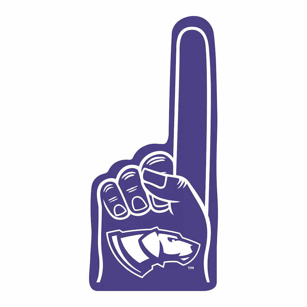 Product image 1 of 1 for University of Wisconsin Stevens Point 16" Foam Finger, Purple