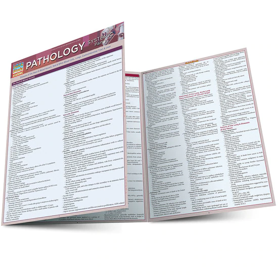 Cover image for PATHOLOGY: SYSTEMIC 1 LAMINATED STUDY GUIDE