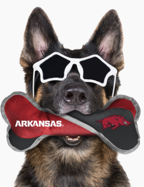 NCAA Arkansas Razorback Running Hog Dog Toy Bone; $11.99