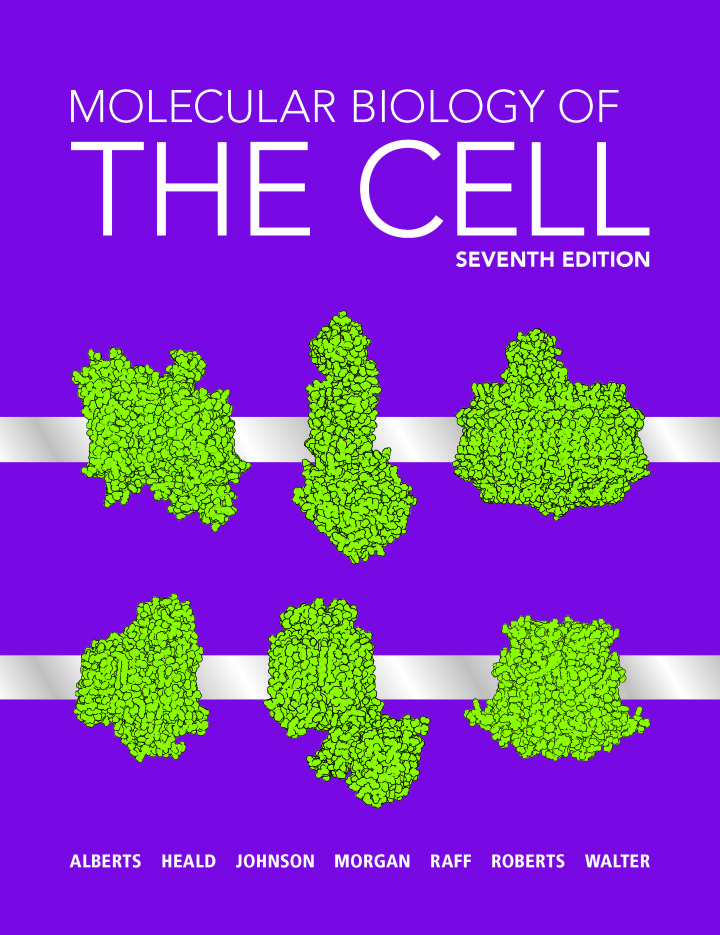 Cover image for MOLECULAR BIOLOGY OF CELL (LOOSELEAF)