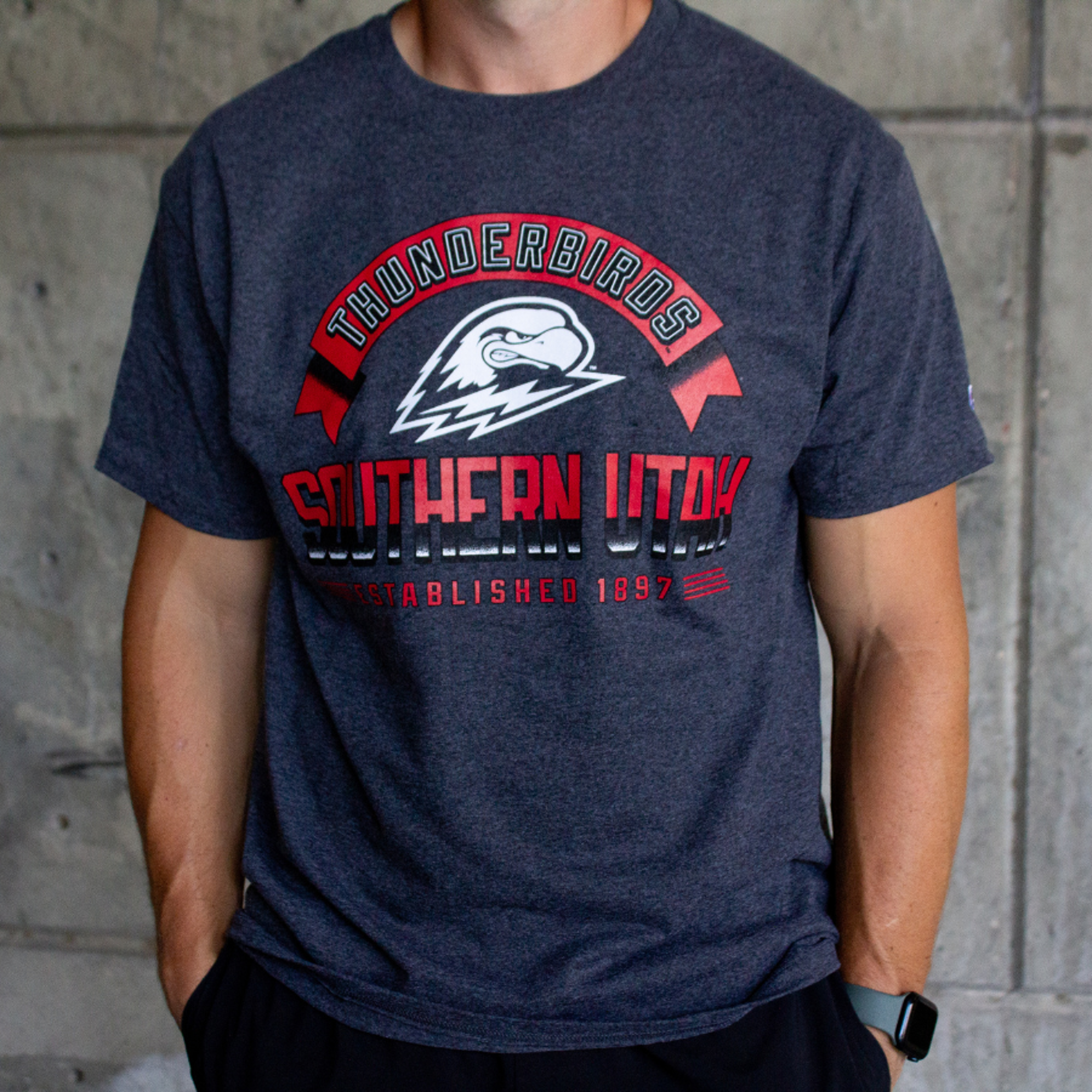 image of: Champion Thunderbirds Gray Arch Tee