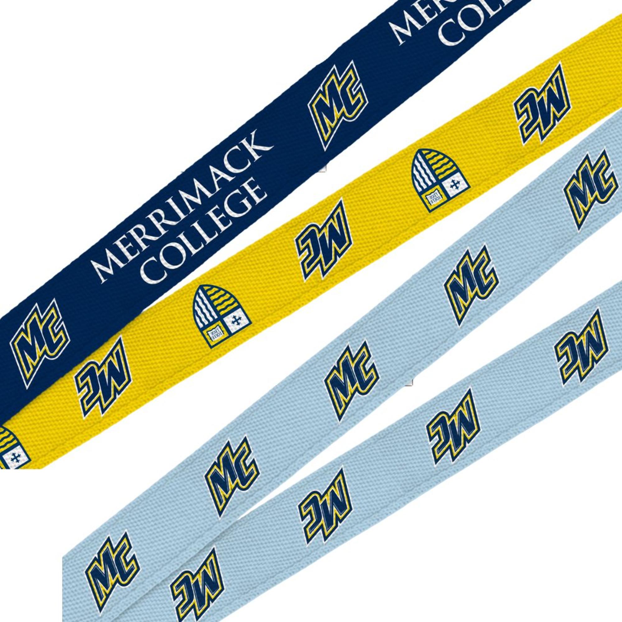 Product image 1 of 3 for Sublimated Lanyard W/Buckle