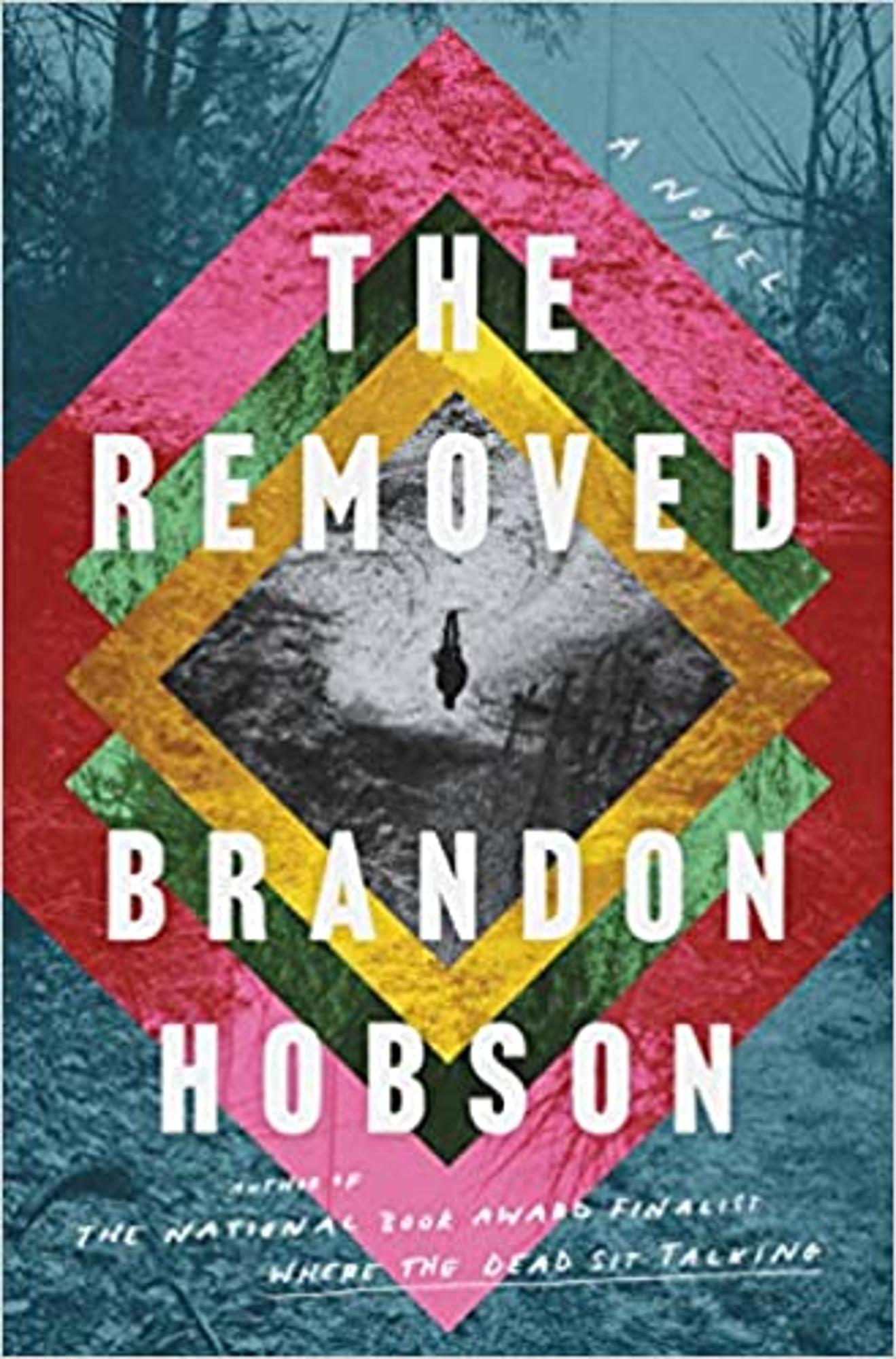 Cover image for The Removed : A Novel