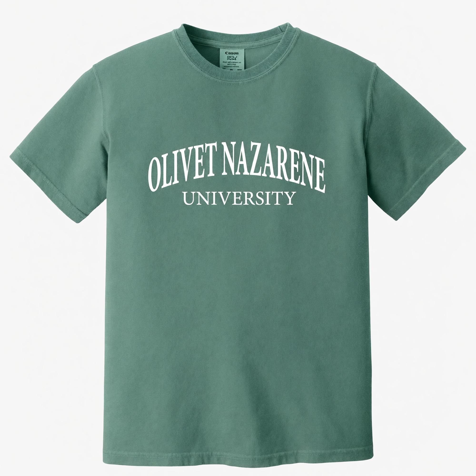 Product image 2 of 3 for Olivet Comfort Color Tee