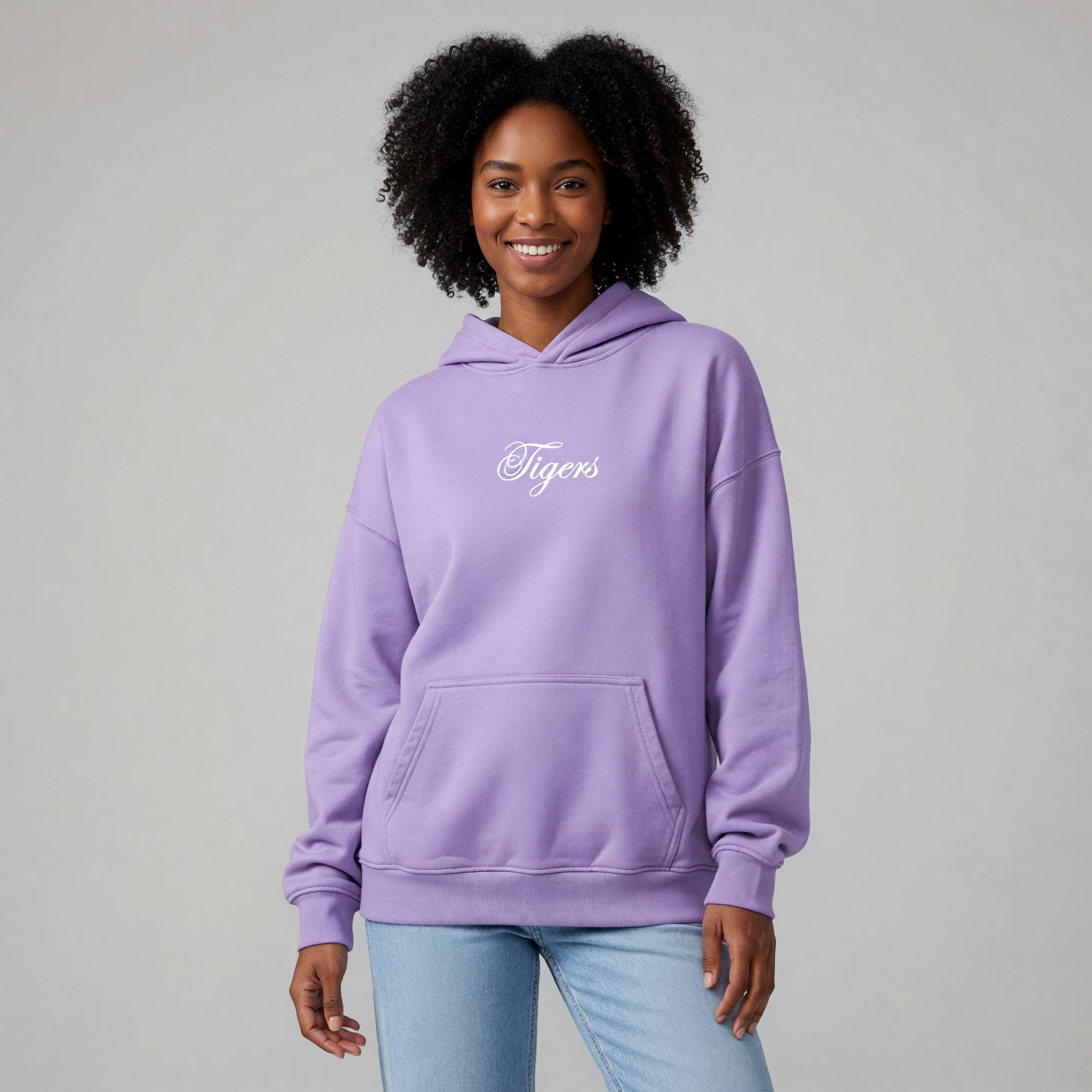 Product image 1 of 4 for Ouachita Baptist University Newport Hoodie