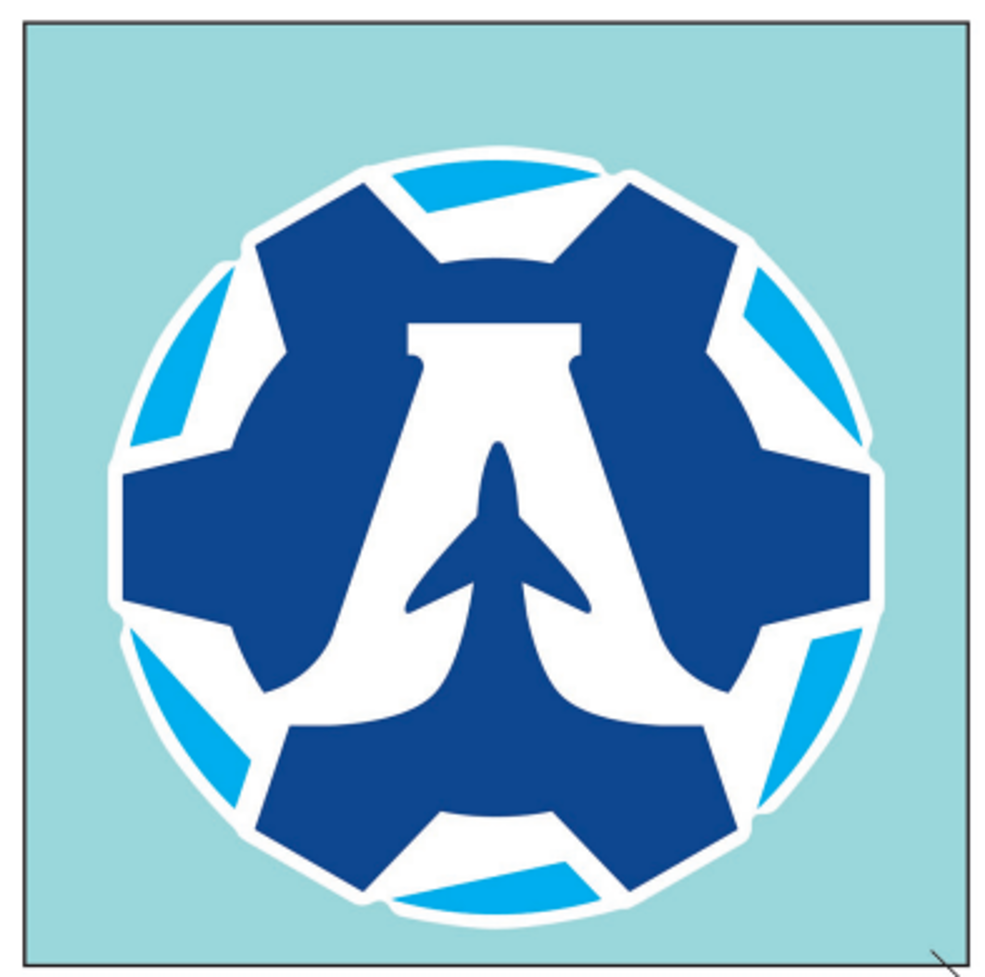 Product image 1 of 1 for AAC 4x4 Perfect Cut Decal