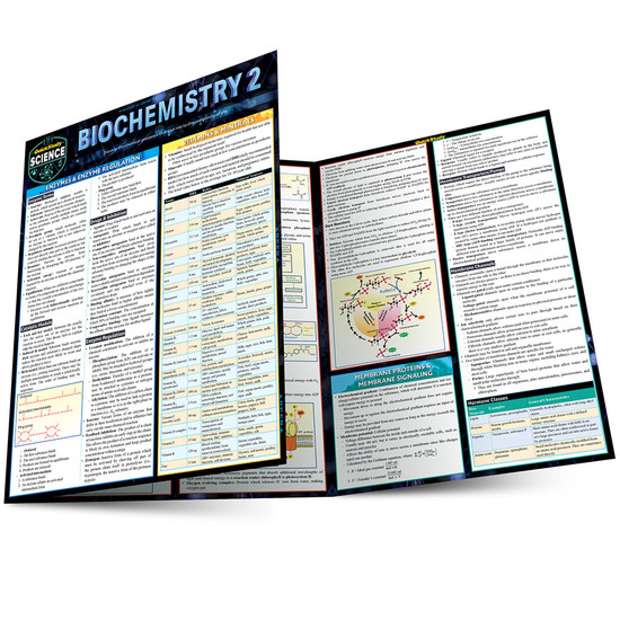 Cover image for BIOCHEMISTRY 2 LAMINATED STUDY GUIDE