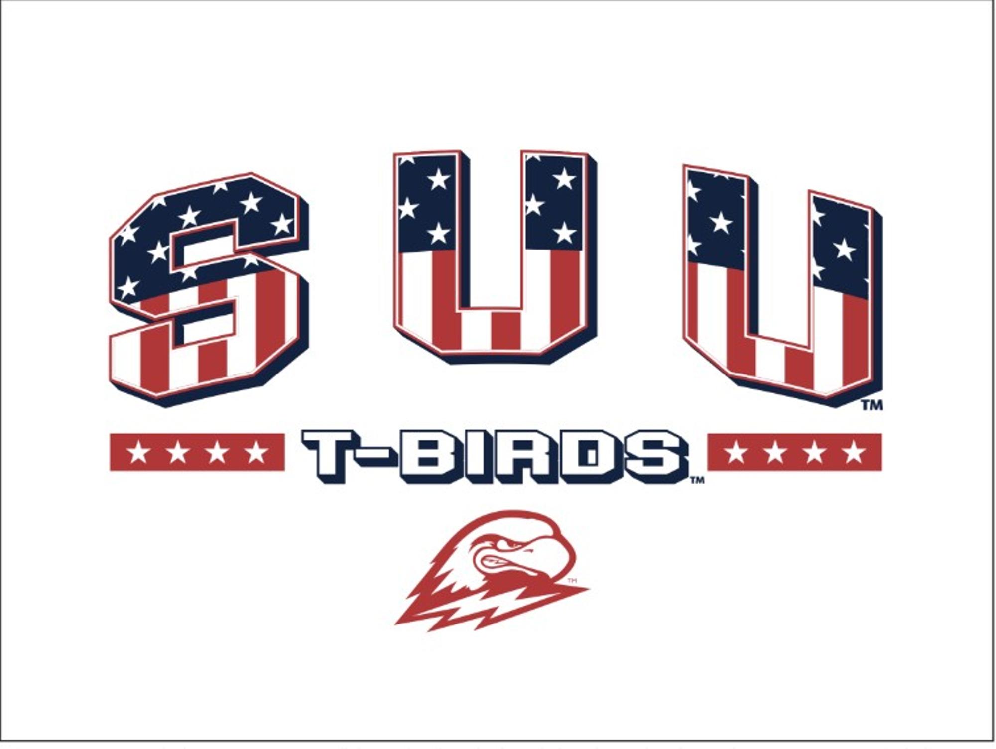 Product image 3 of 3 for COLOSSEUM SUU RED WHITE AND BLUE TEE