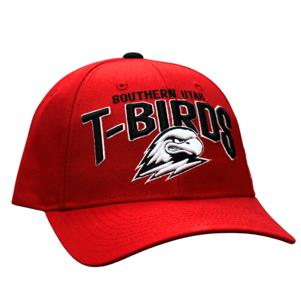 Zephyr T-Birds Classic Snapback; $27.99