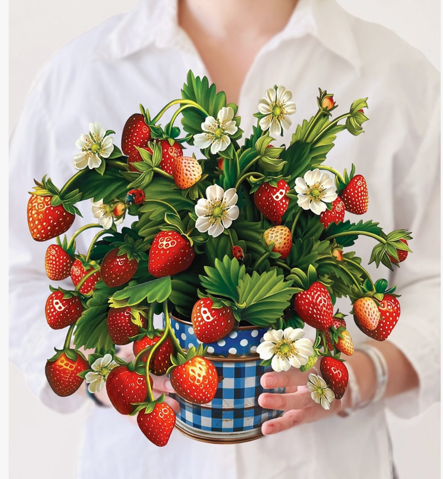 Product image 6 of 6 for FRESHCUT PAPER POP UP CARD