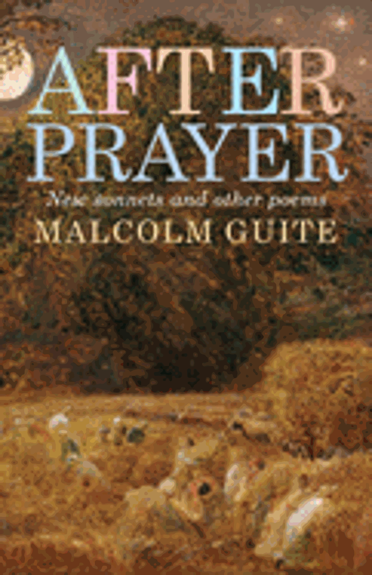 Cover image for After Prayer New sonnets and other poems