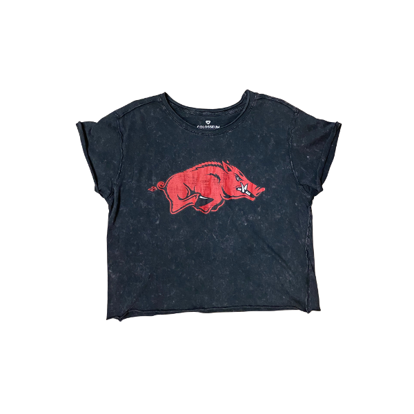 Arkansas Razorbacks Playing the Field Short Sleeve Tee; $38.00