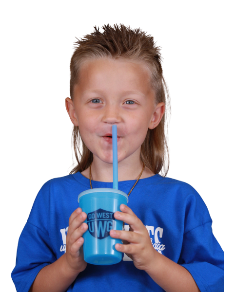 UWG SHIELD NITE GLOW STADIUM CUP; $2.75
