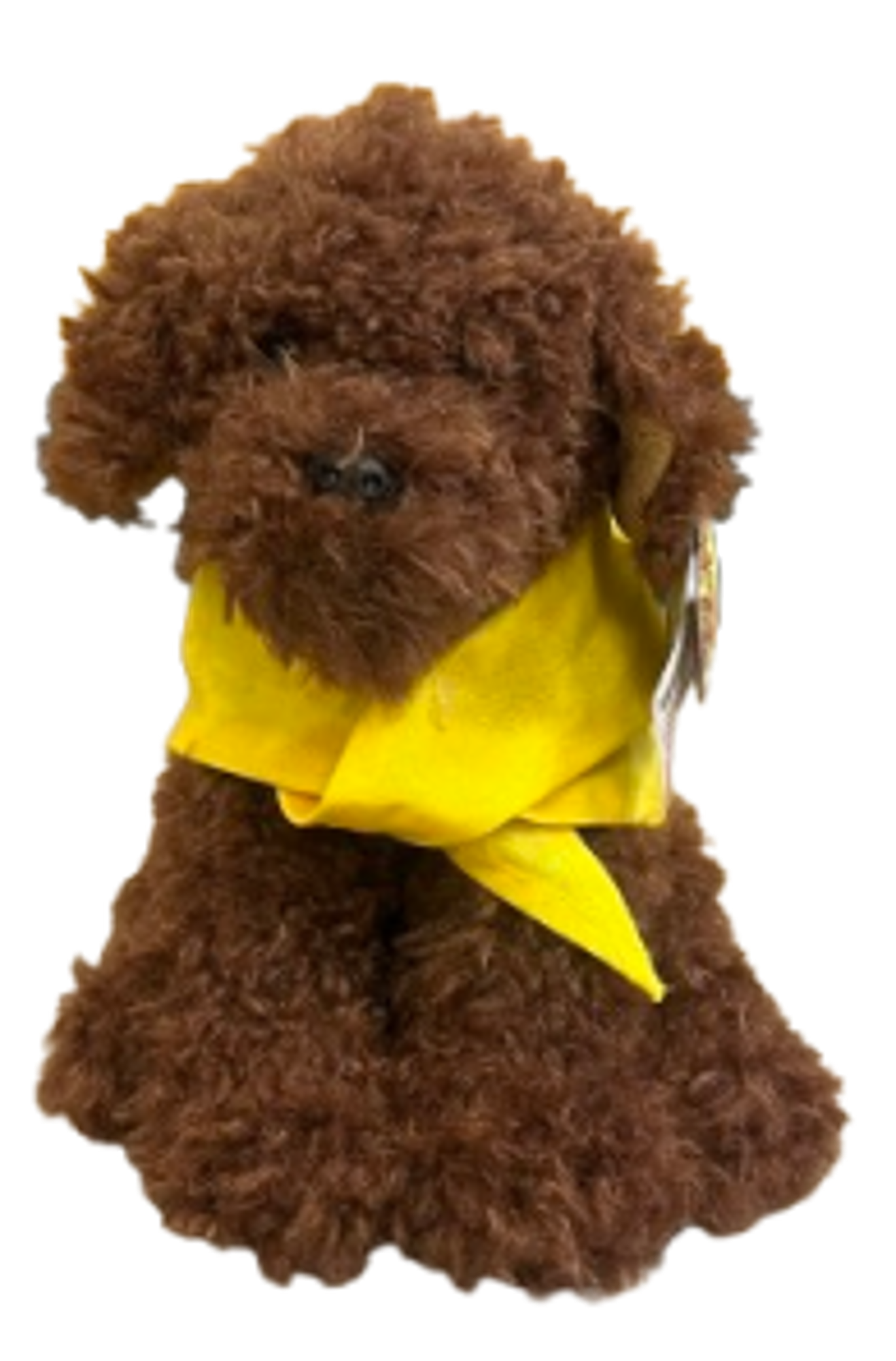 Product image 2 of 2 for Chocolate Brown Labradoodle