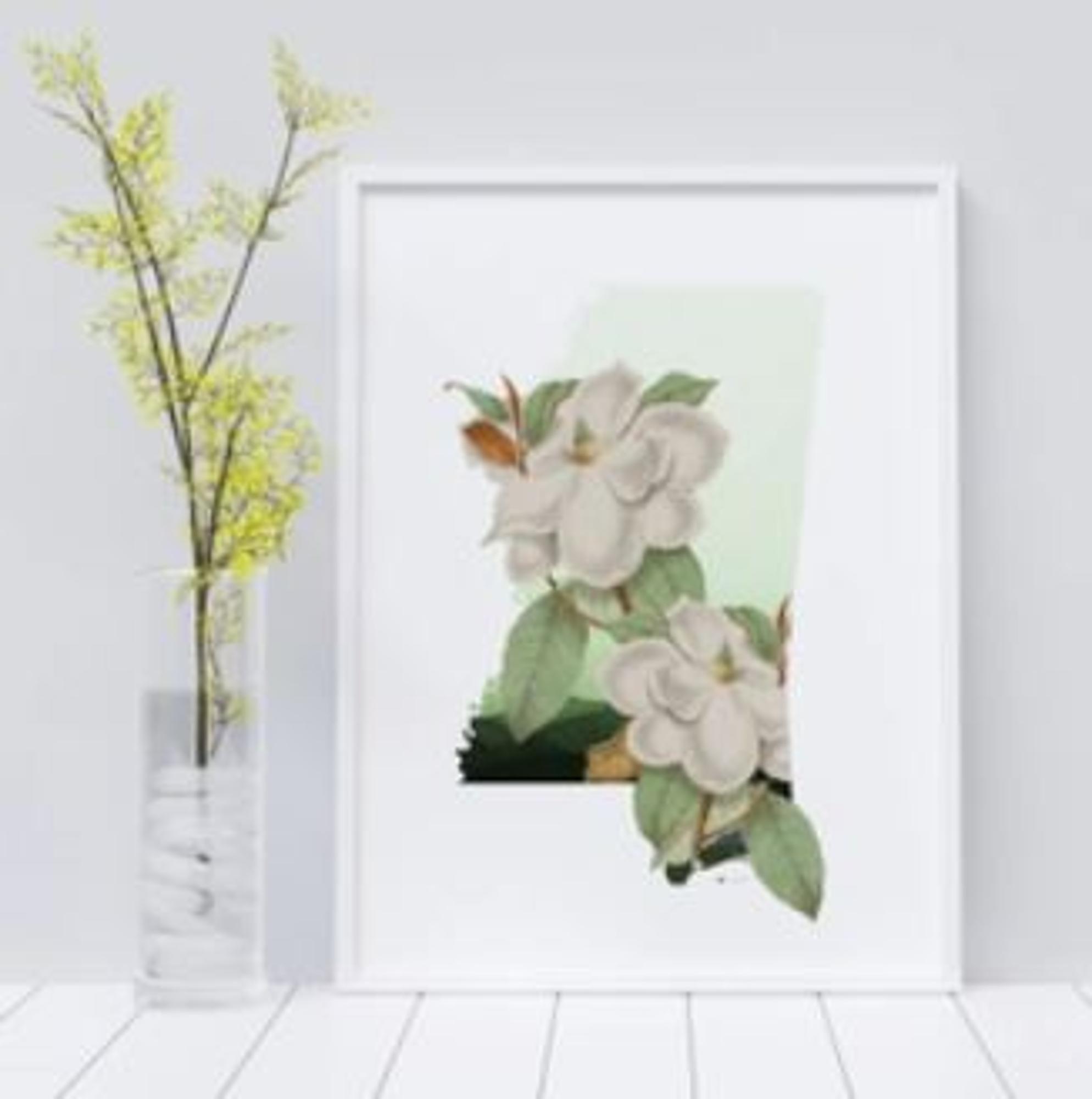 image of: Mississippi Magnolia Art Print