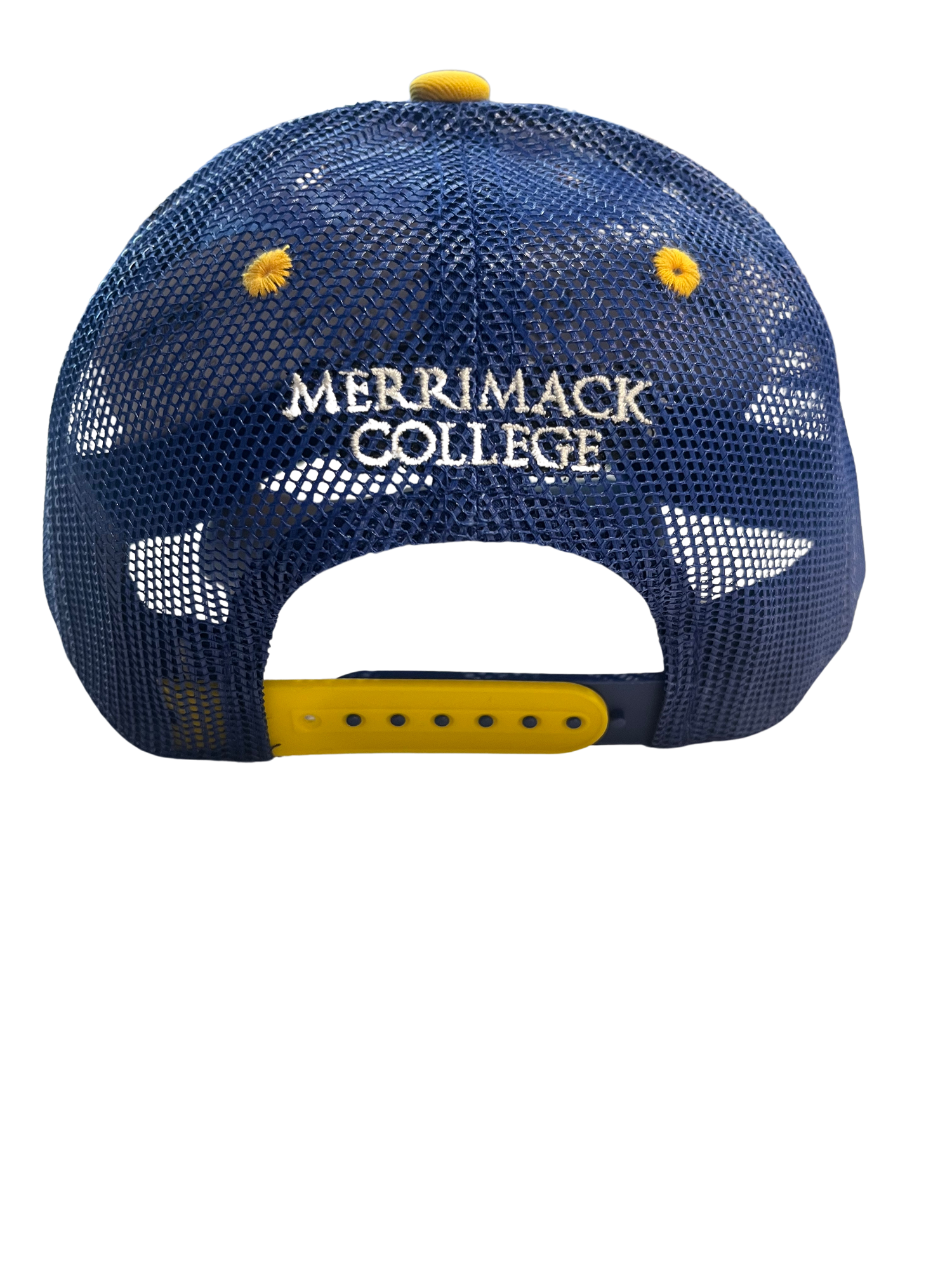 Product image 2 of 2 for Tokyodachi Warrior AMP Youth Hat