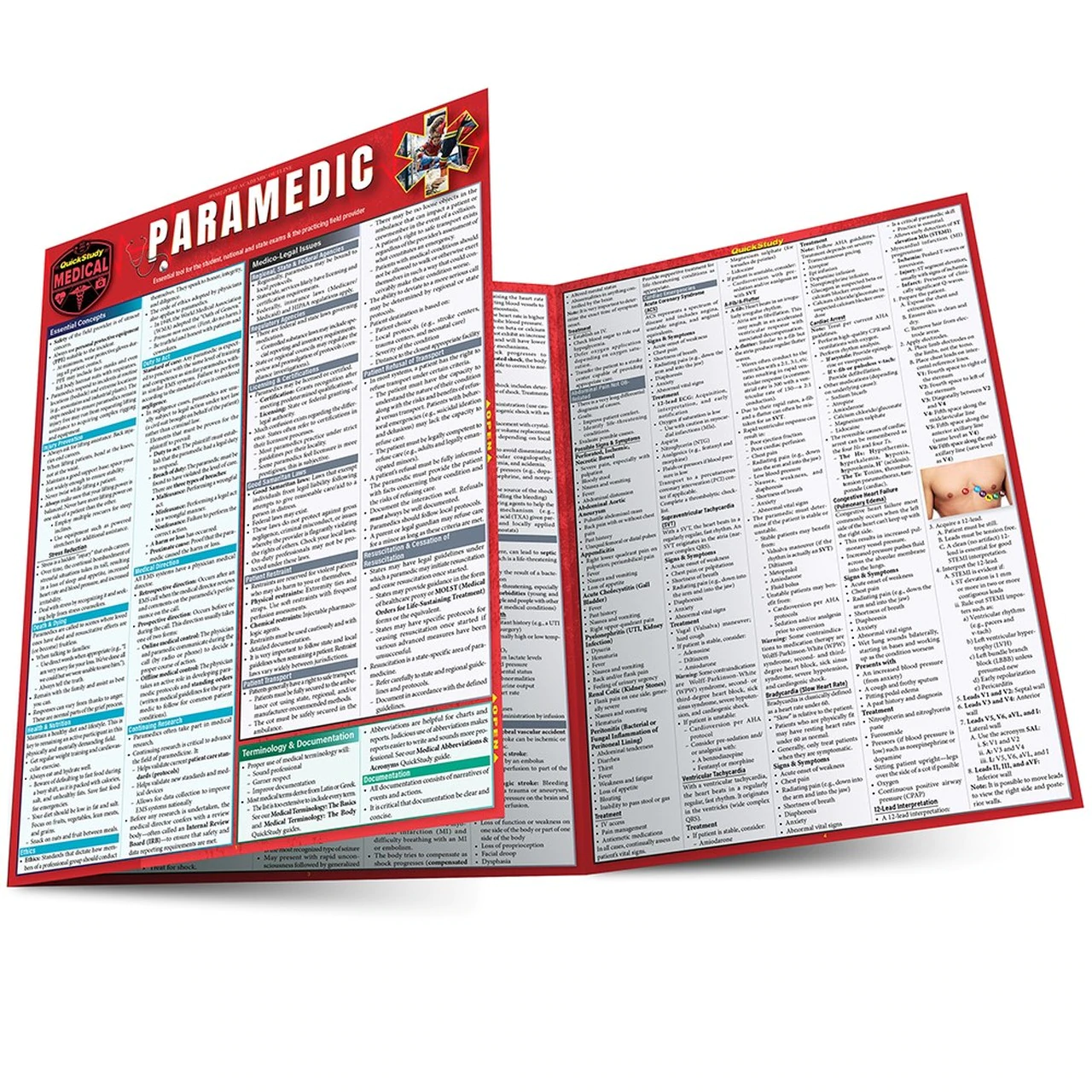 Cover image for PARAMEDIC LAMINATED STUDY GUIDE