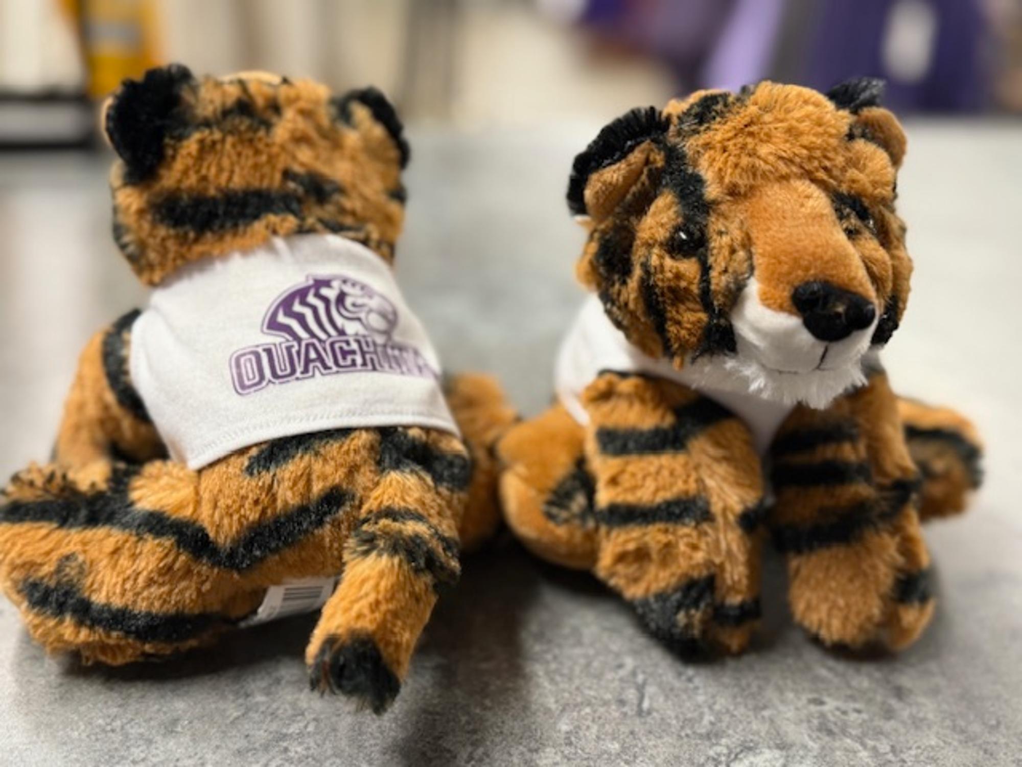 image of: Ouachita Safari Creature Tiger