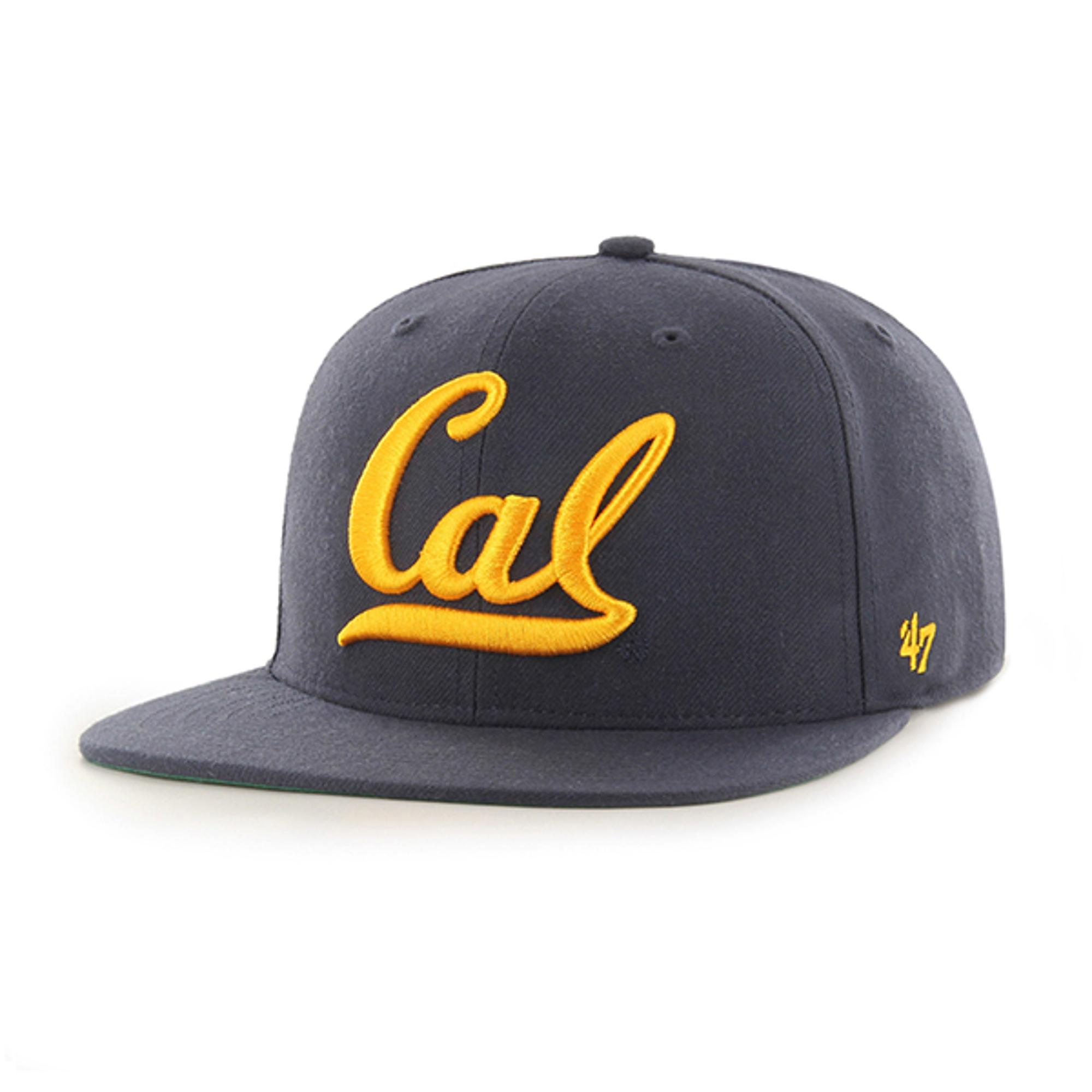 Product image 1 of 1 for zz Pro Cal