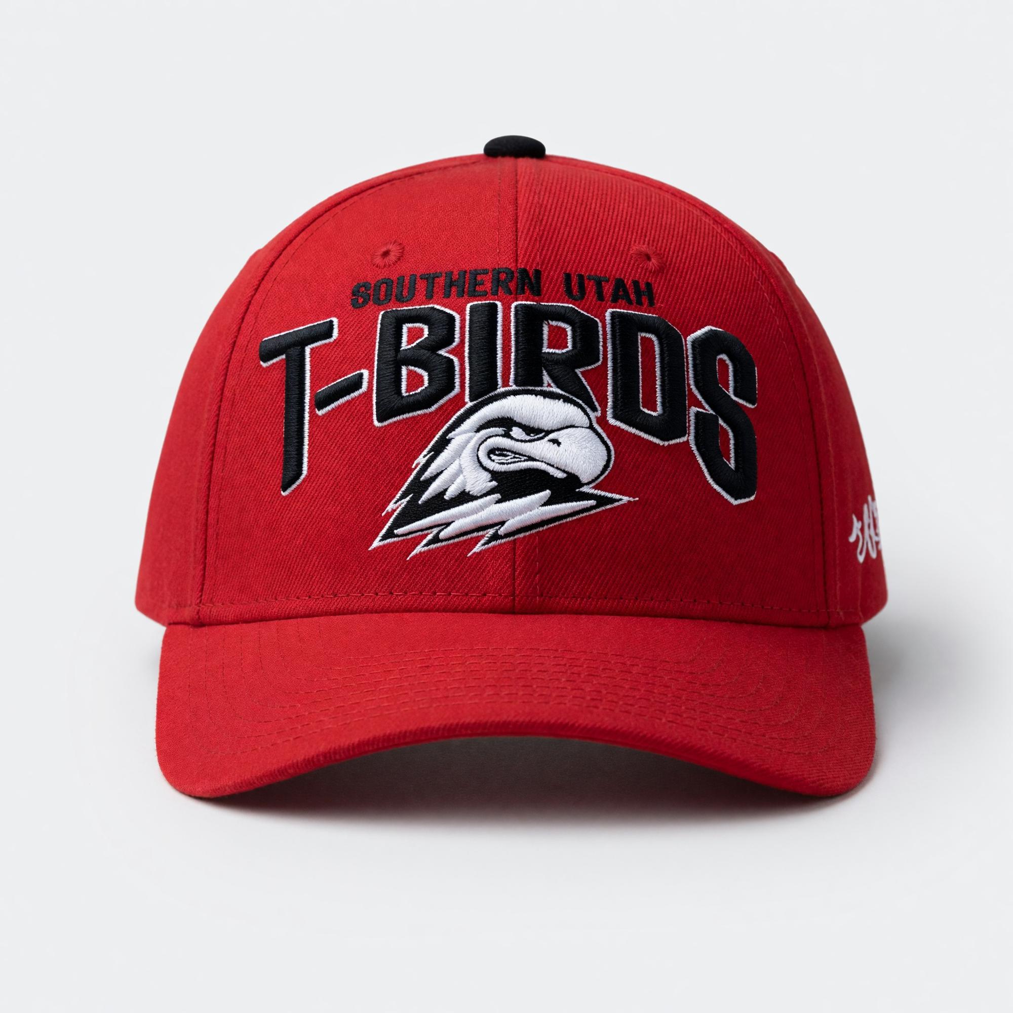 Product image 1 of 1 for Zephyr T-Birds Classic Snapback