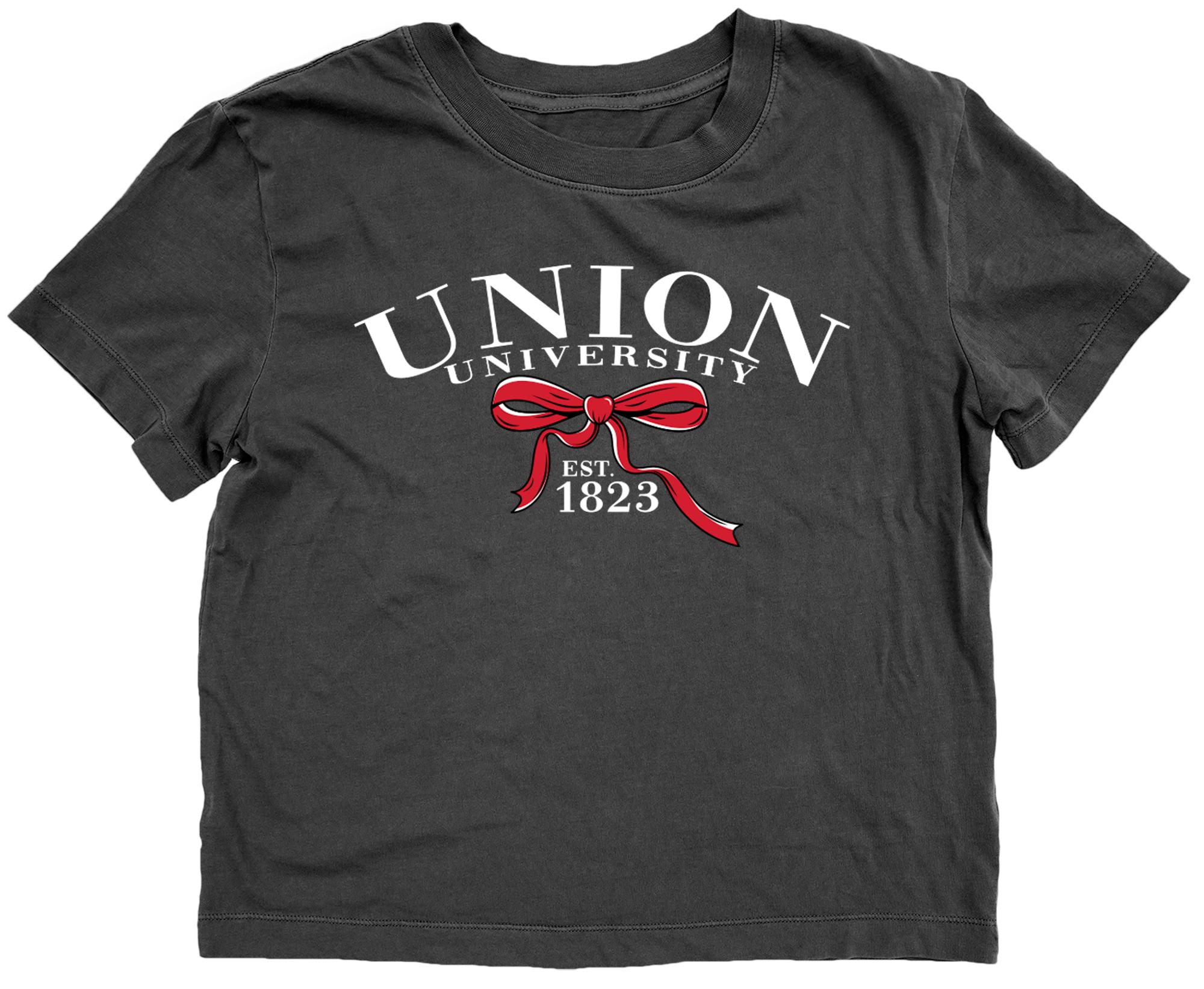 image of: Union University Something Nice Dyed Tee