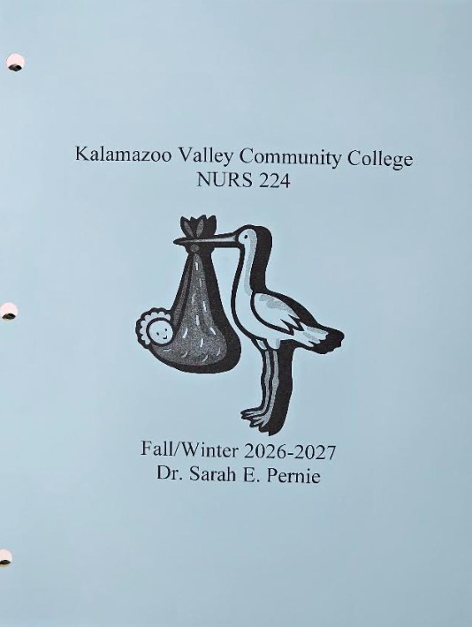 Cover image for NURS 224 Course Pack - NEW FOR FALL26