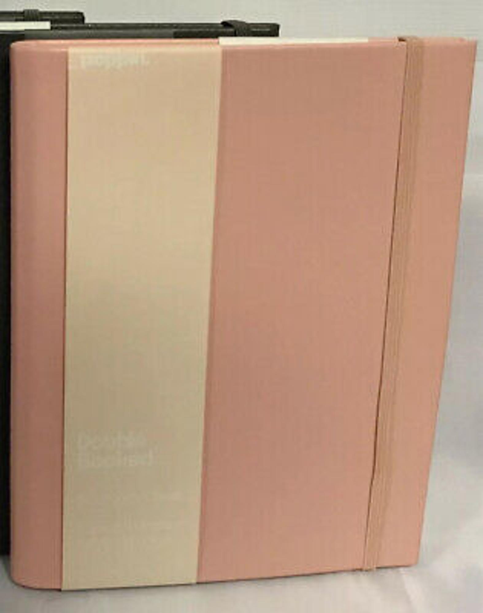 image of: BLUSH DOUBLE BOOKED COVER