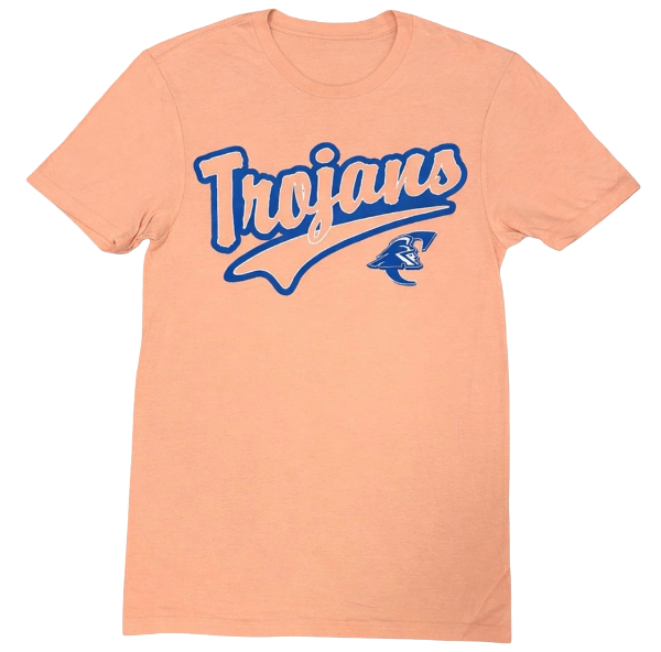 Dusty Peach Tee Shirt; $18.95