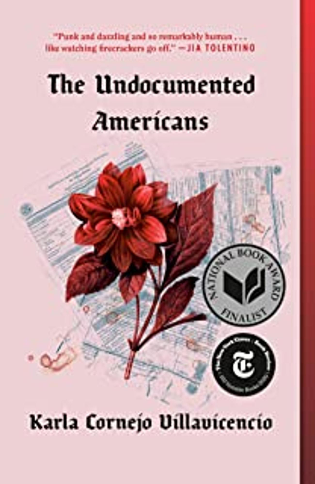 Cover image for The Undocumented Americans