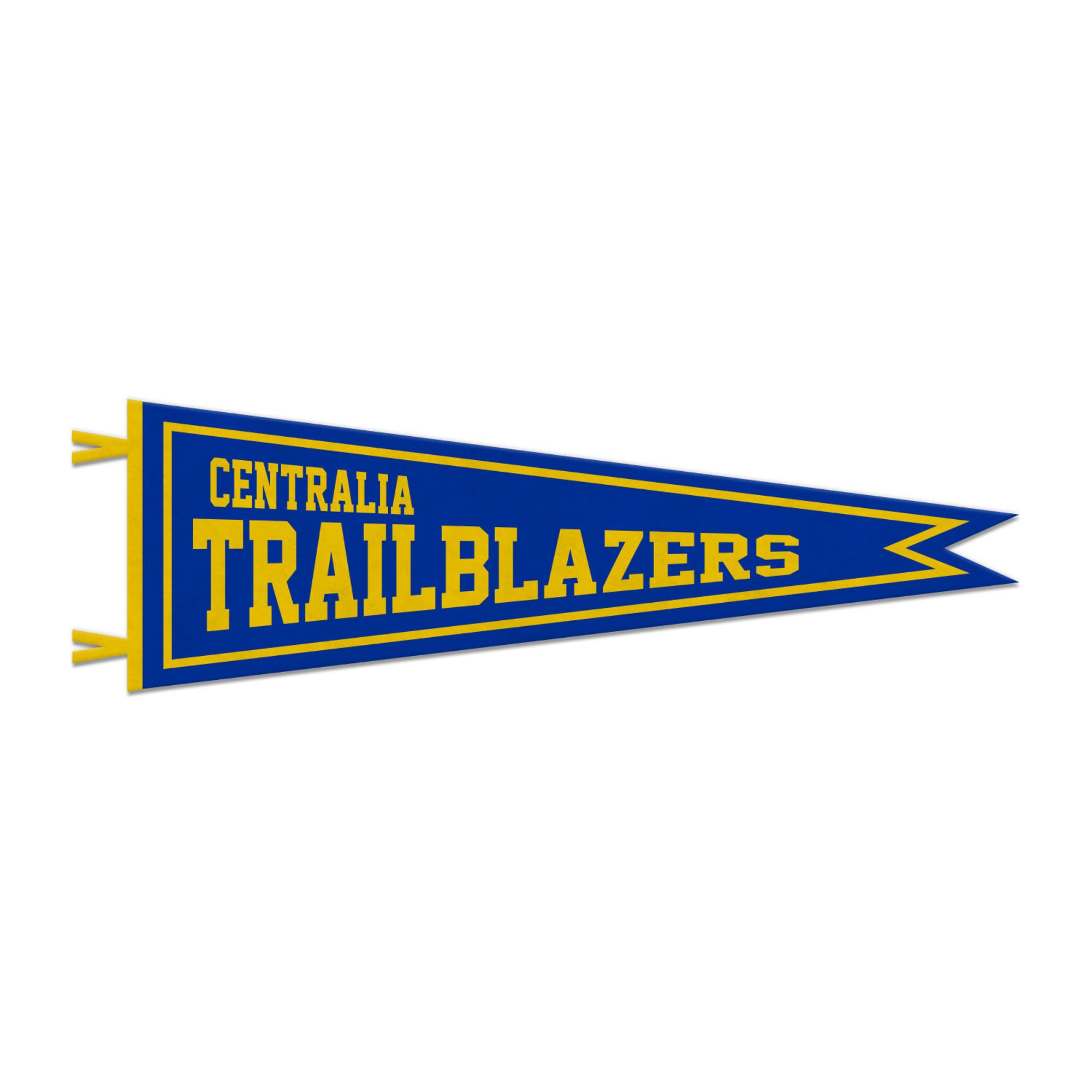 Product image 1 of 1 for Jardine 9"x27" Dovetail Pennant Blue/Gold