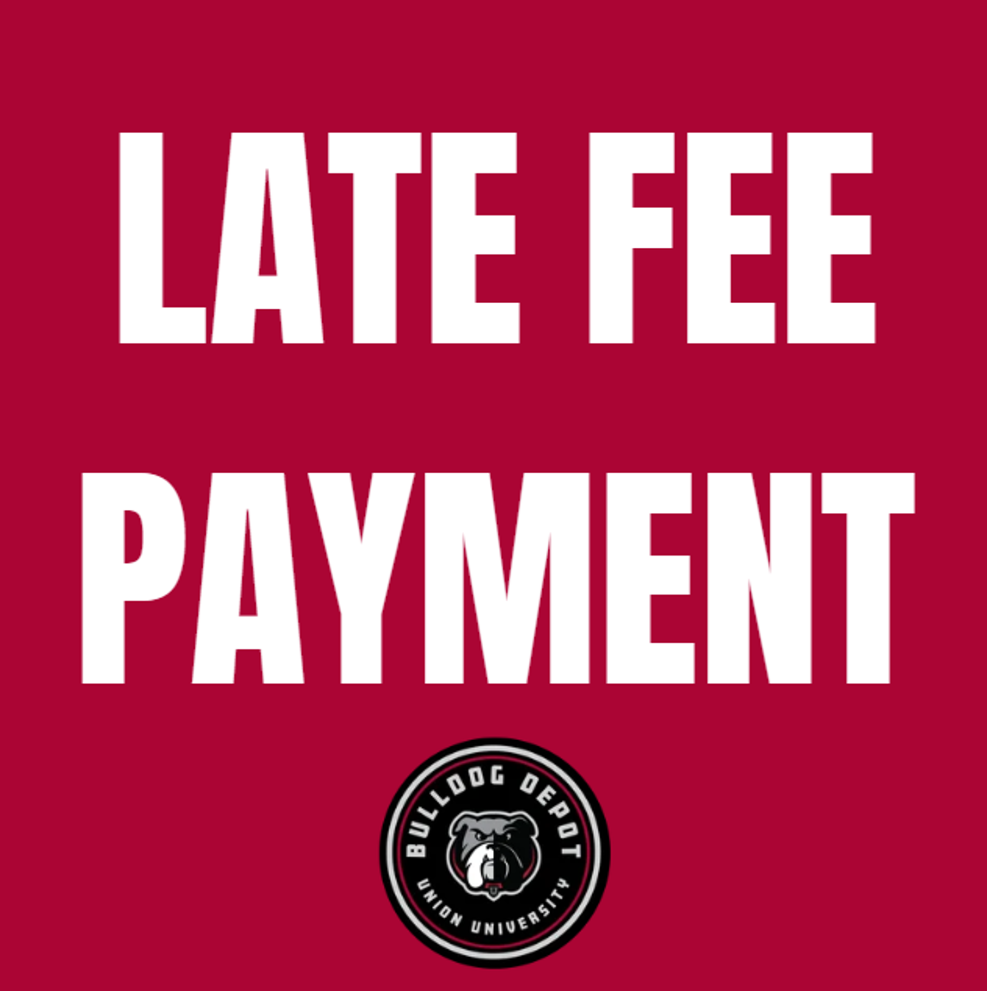 Product image 1 of 1 for LATE FEE PAYMENT