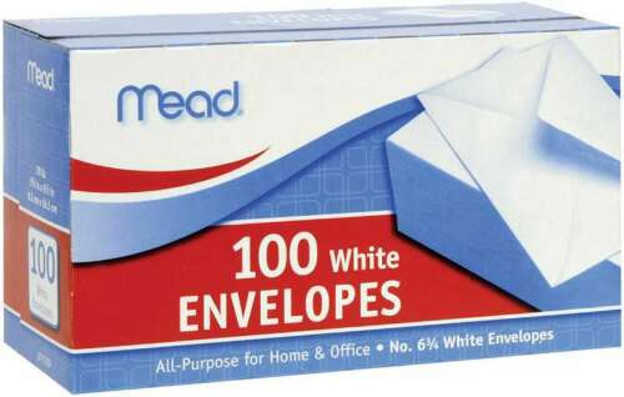 image of: MEAD ALL-PURPOSE ENVELOPE 100pk