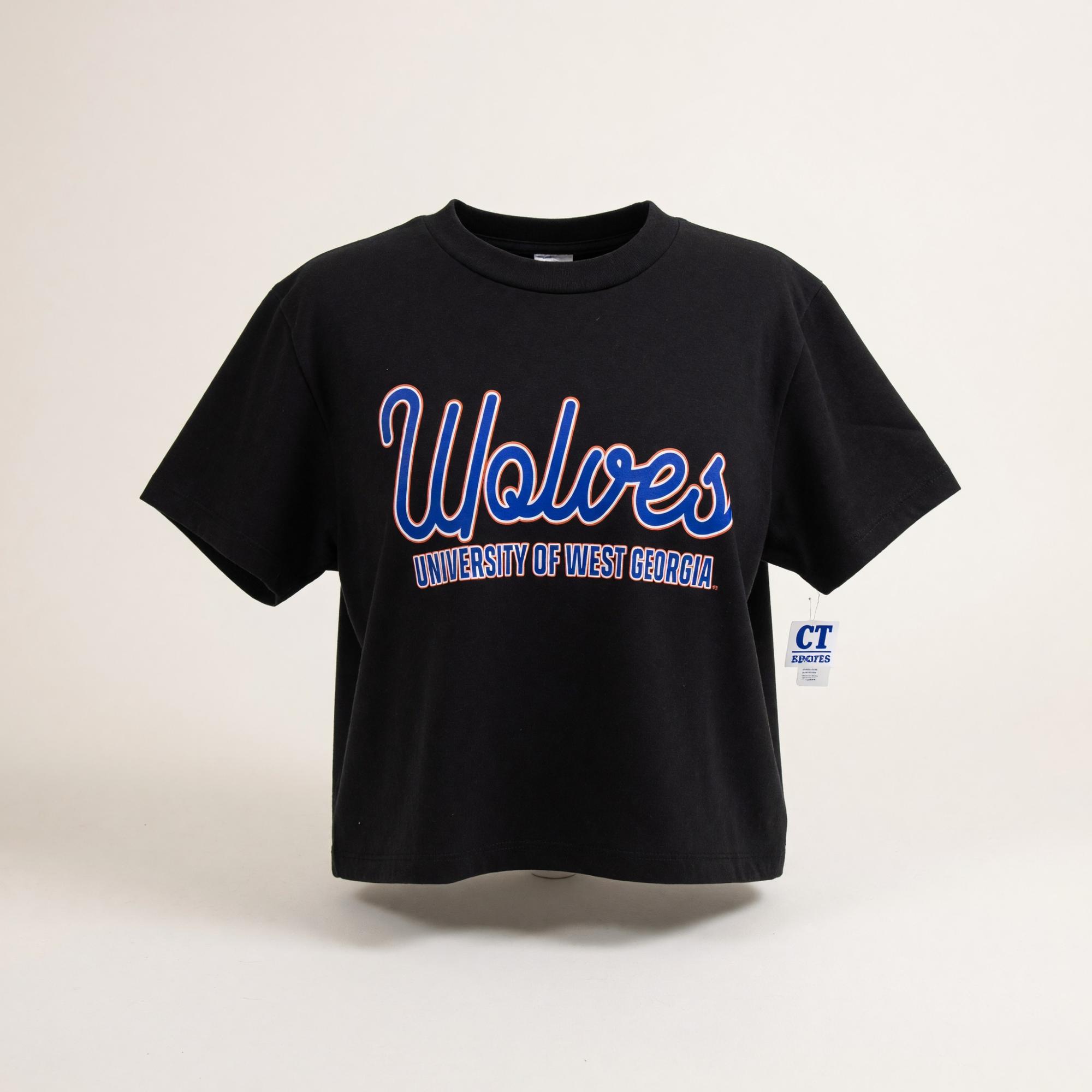 Product image 1 of 2 for PINTAIL SHINE UWG BOXY TEE
