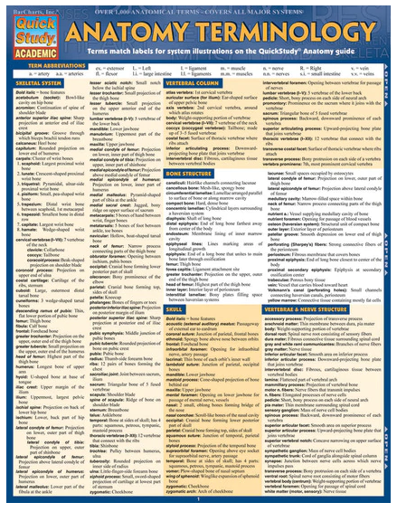 Cover image for ANATOMY TERMINOLOGY LAMINATED STUDY GUIDE