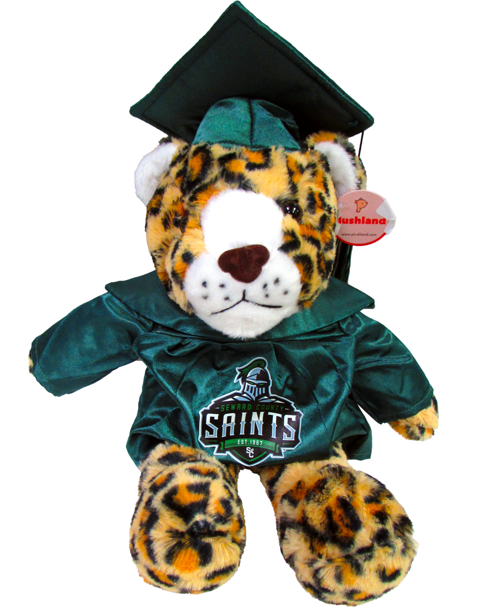 Product image 1 of 4 for Graduation Leopard Green Cap & Gown 11"
