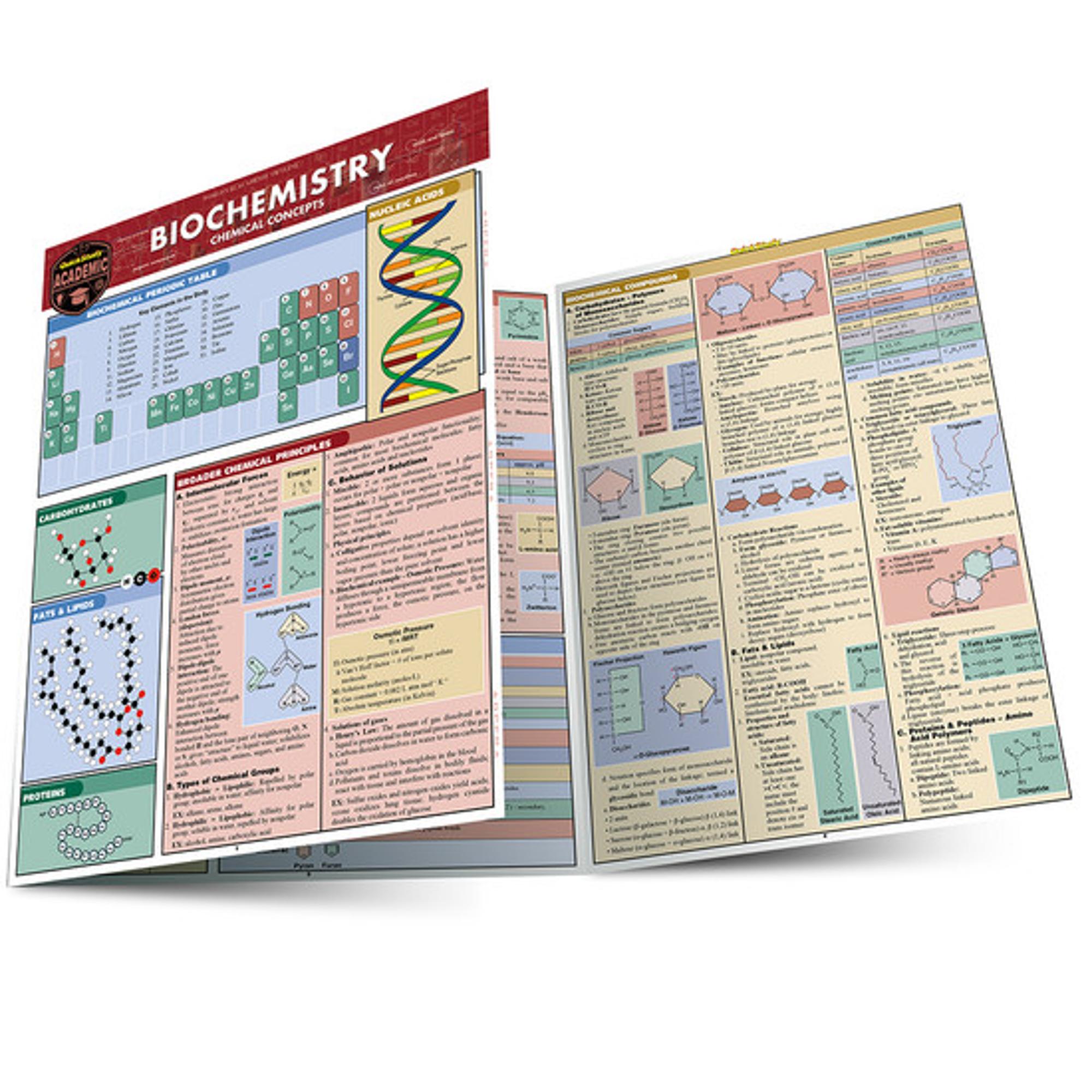 Cover image for BIOCHEMISTRY LAMINATED STUDY GUIDE