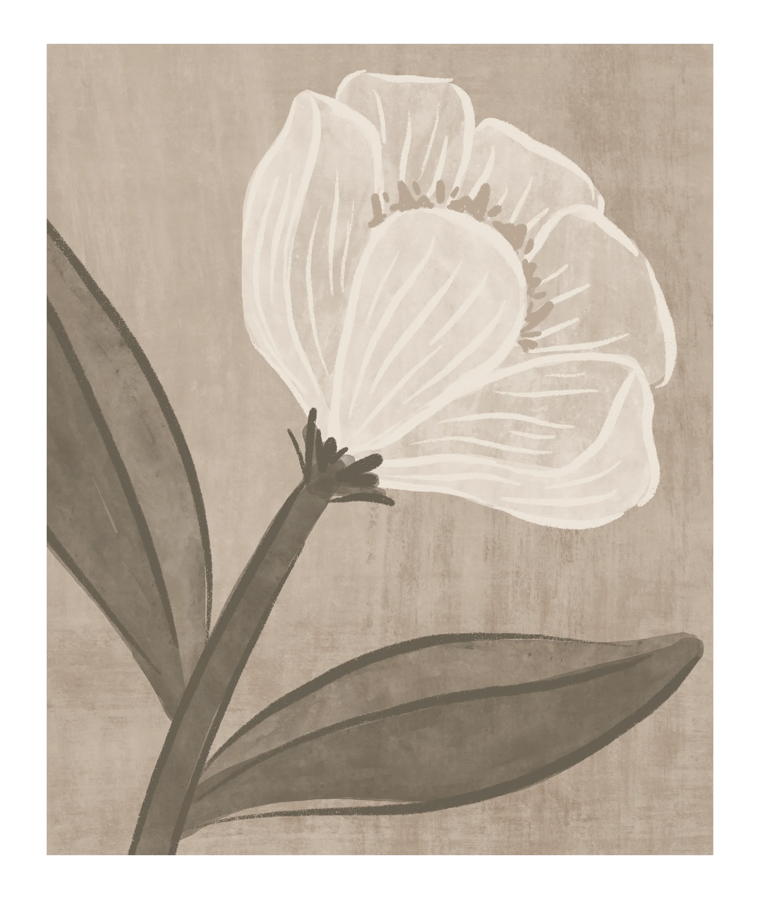 Product image 8 of 10 for FOLDER 2 POCKET Studio Series Set 2