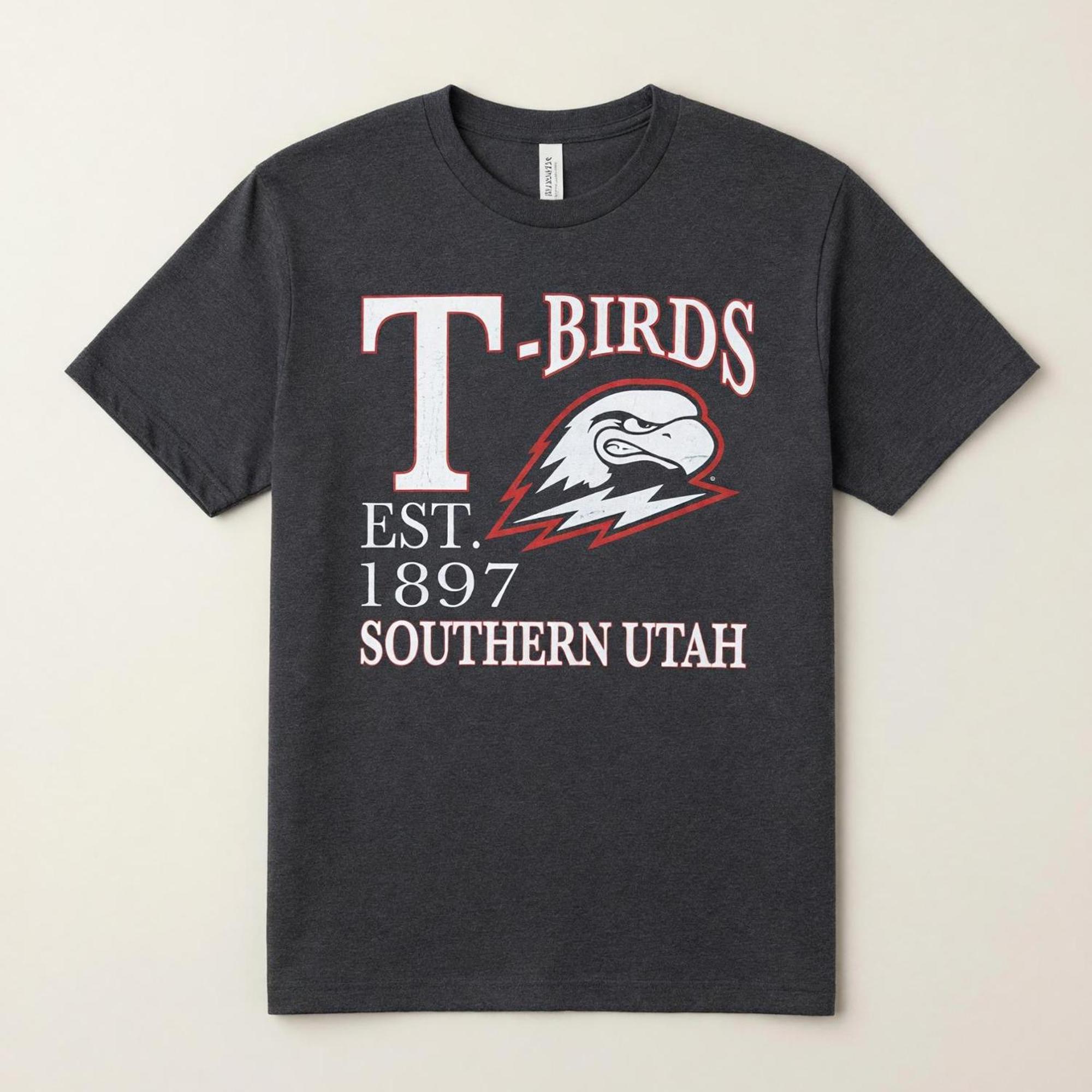 Product image 1 of 2 for CI SPORT LADIES TEE GRAY T-BIRDS 1897