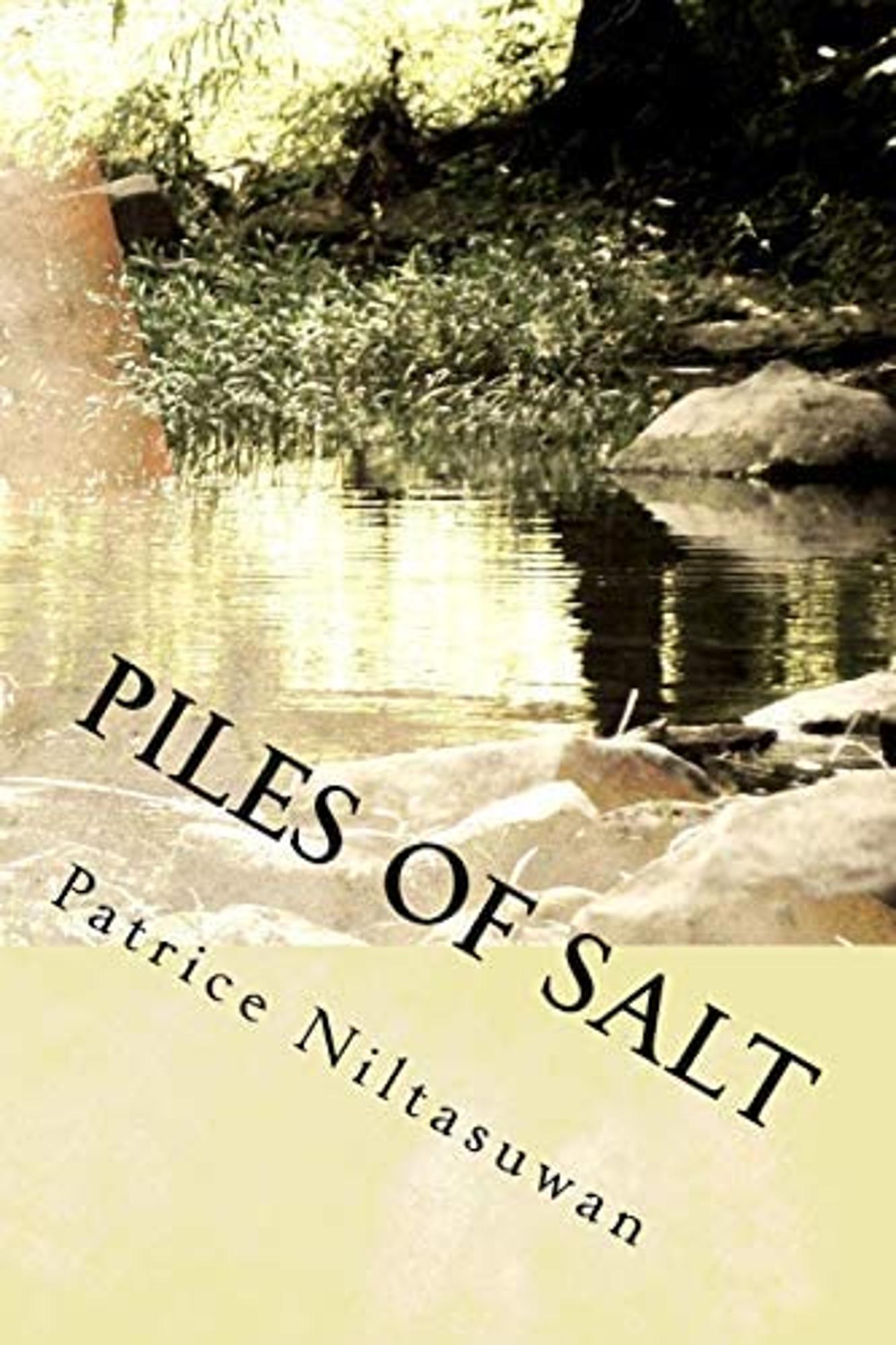 Cover image for Piles of Salt