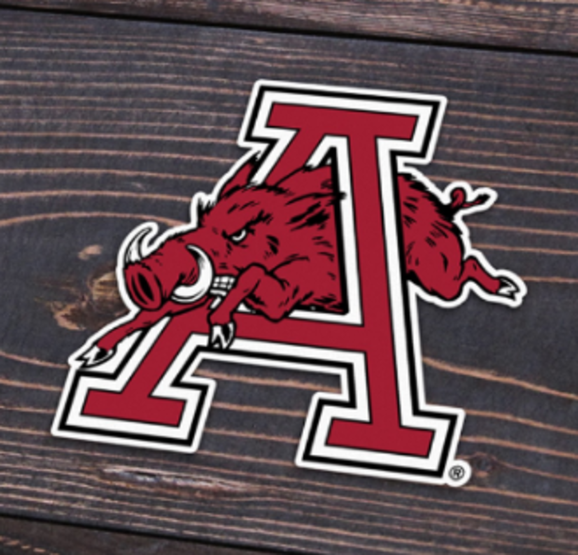 image of: Arkansas Razorbacks Hog Through A Sticker 3" x 3"