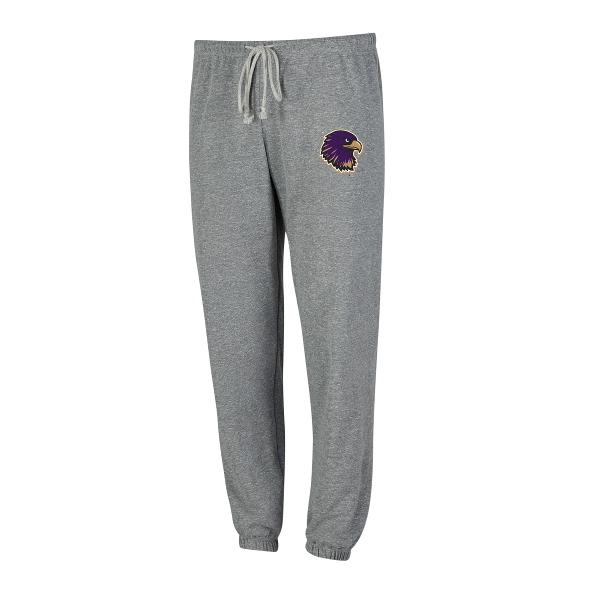 AU PANT RGB CHASE WOS TERRY GRY; $49.99