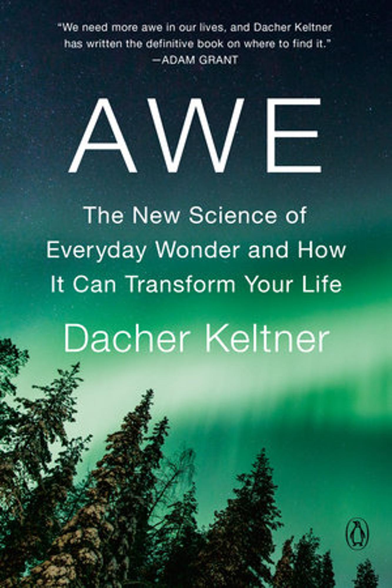 Cover image for AWE