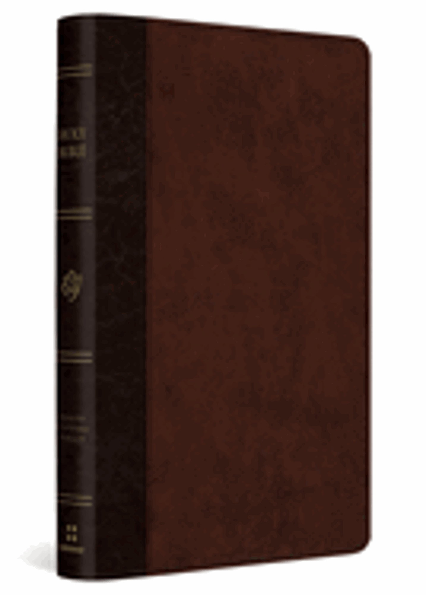 Cover image for ESV Large Print Thinline Reference Bible Brown/Walnut