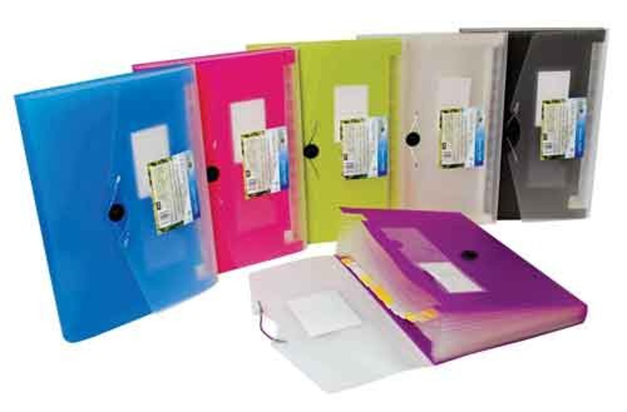 image of: FILE EXPANDING 13 POCKET