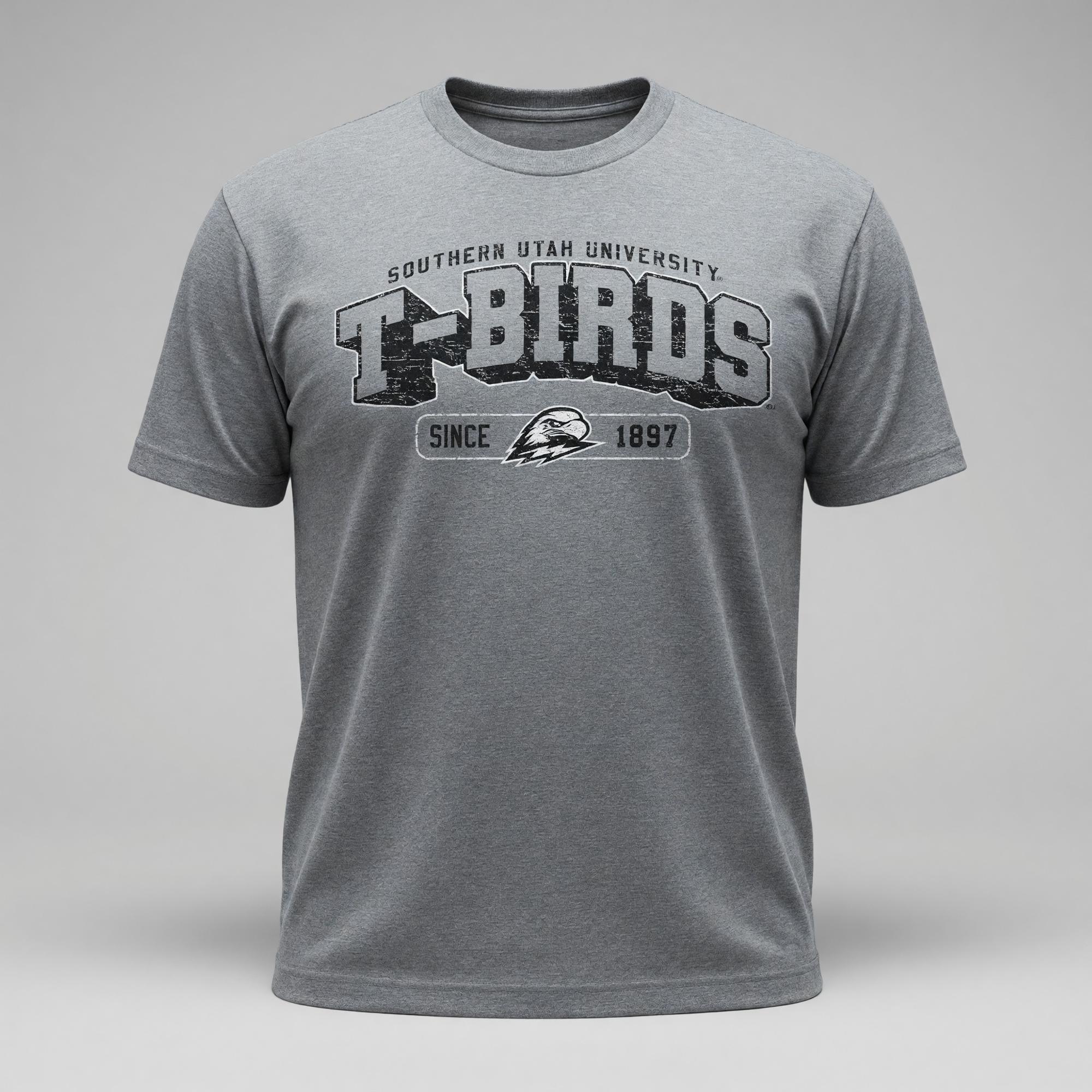 Product image 1 of 1 for CI SPORT S/S TEE GRAY T-BIRDS 1897 PLOW