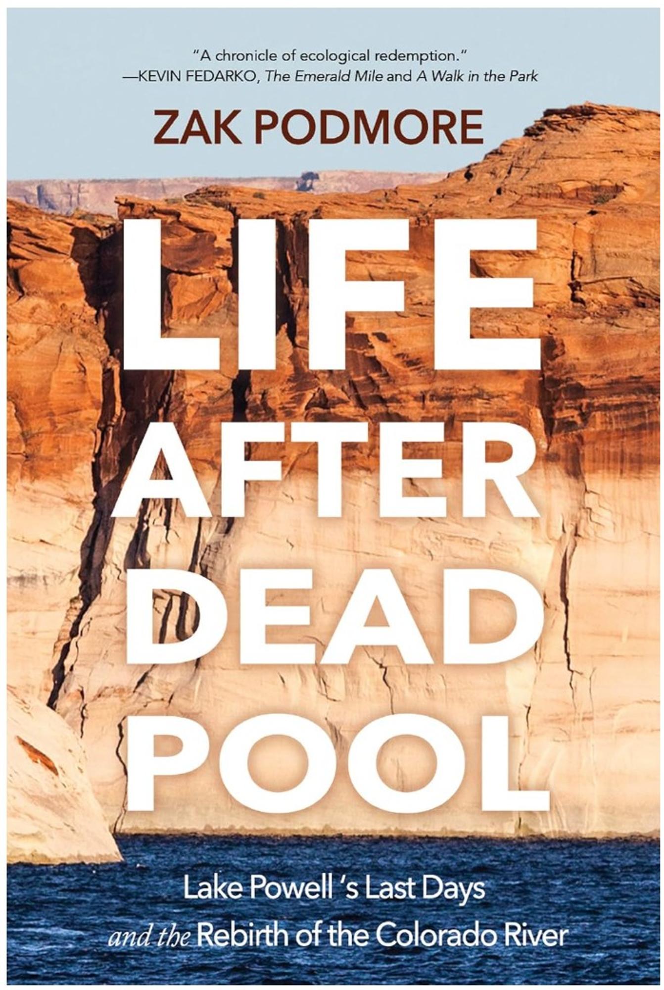 Cover image for LIFE AFTER DEAD POOL