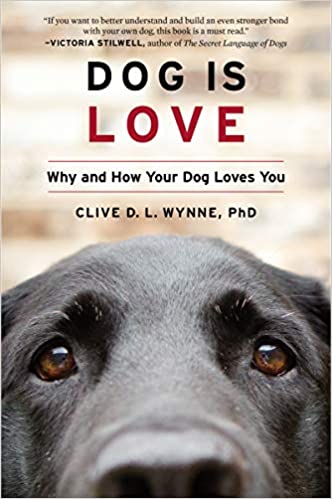 Cover image for DOG IS LOVE
