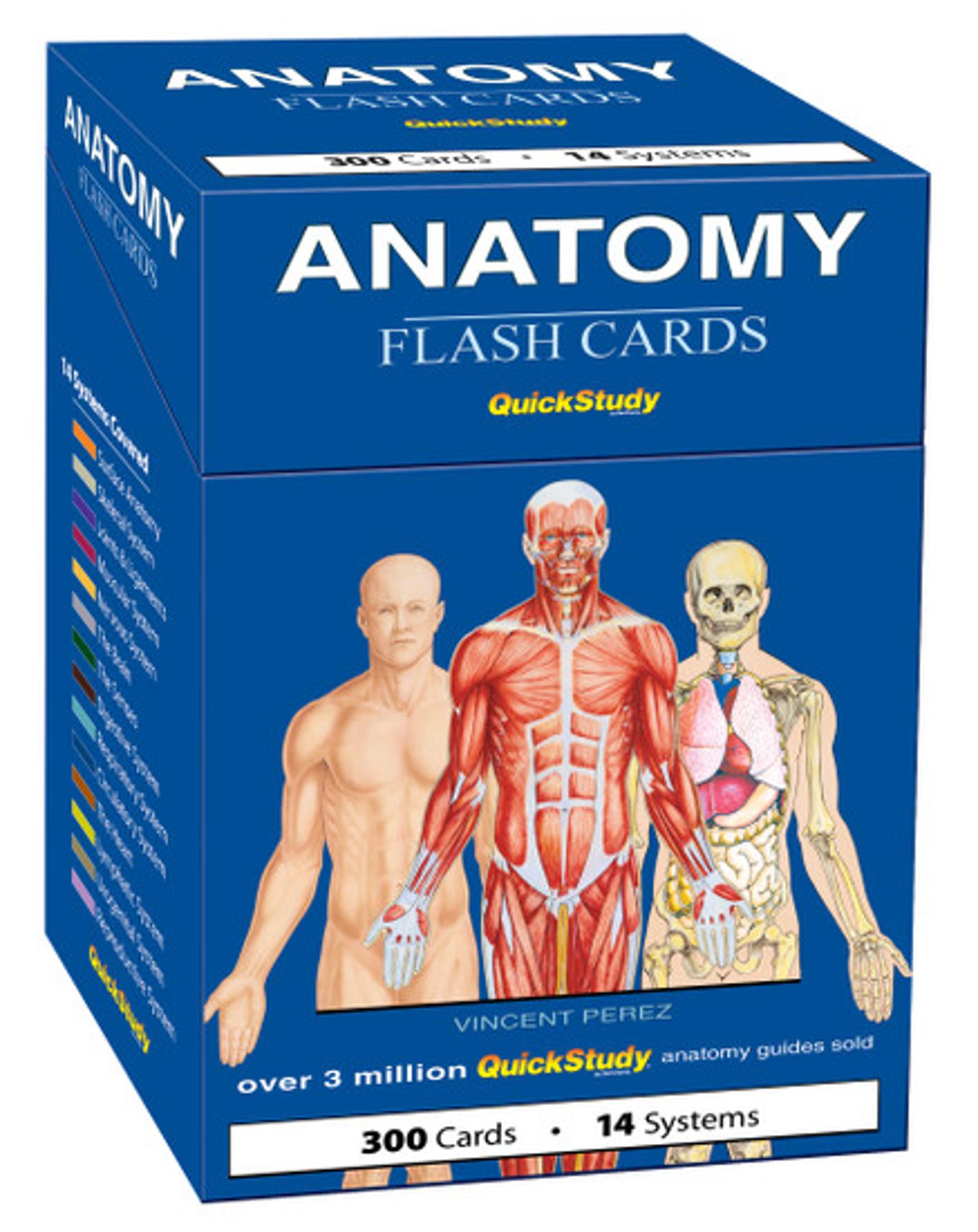 Cover image for ANATOMY FLASH CARDS