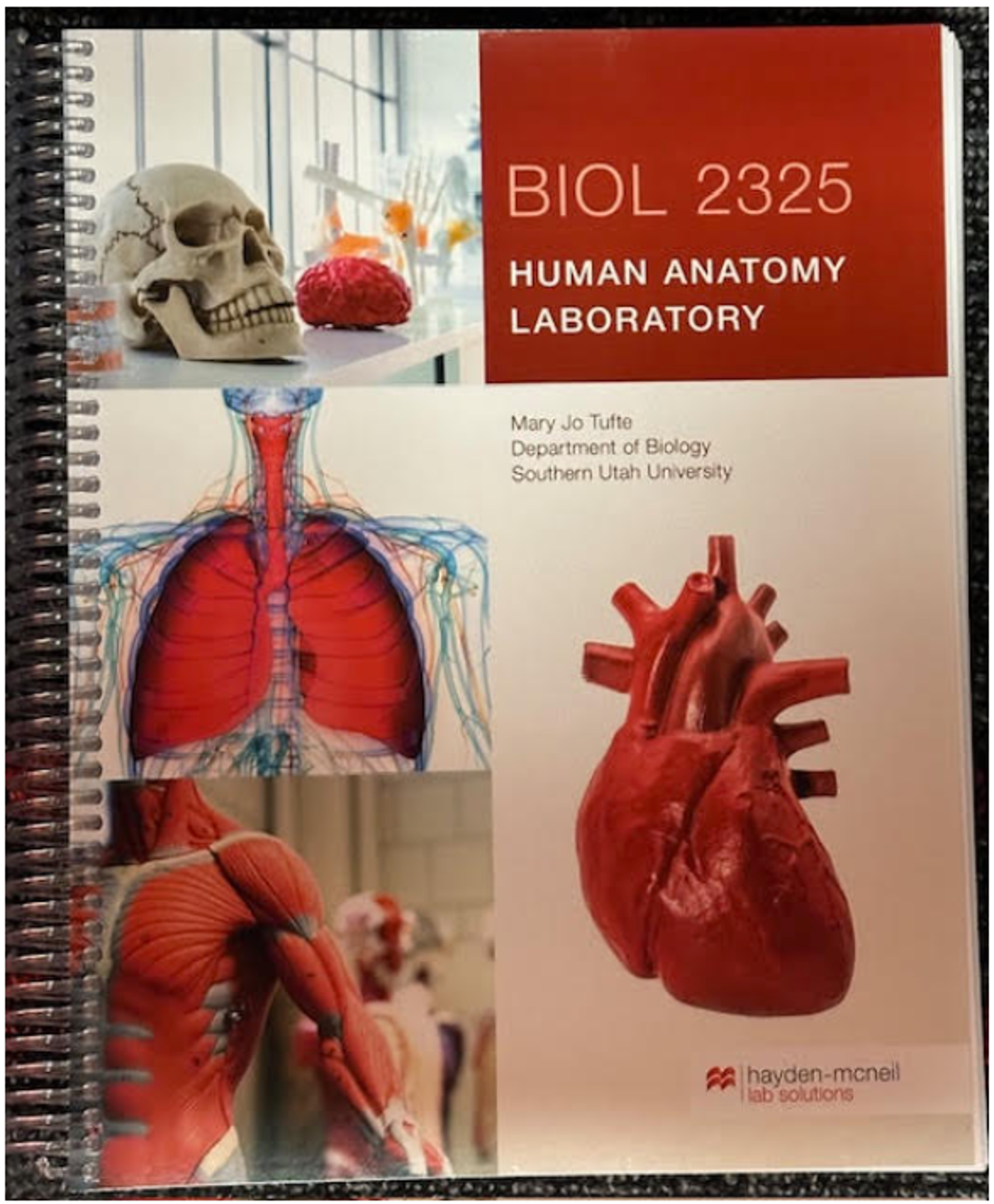 Cover image for BIOL 2325 HUMAN ANATOMY LABORATORY